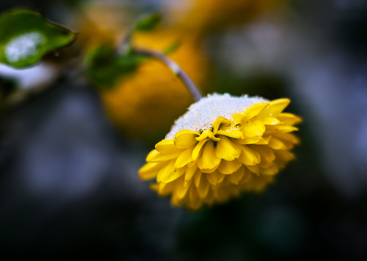 First snow