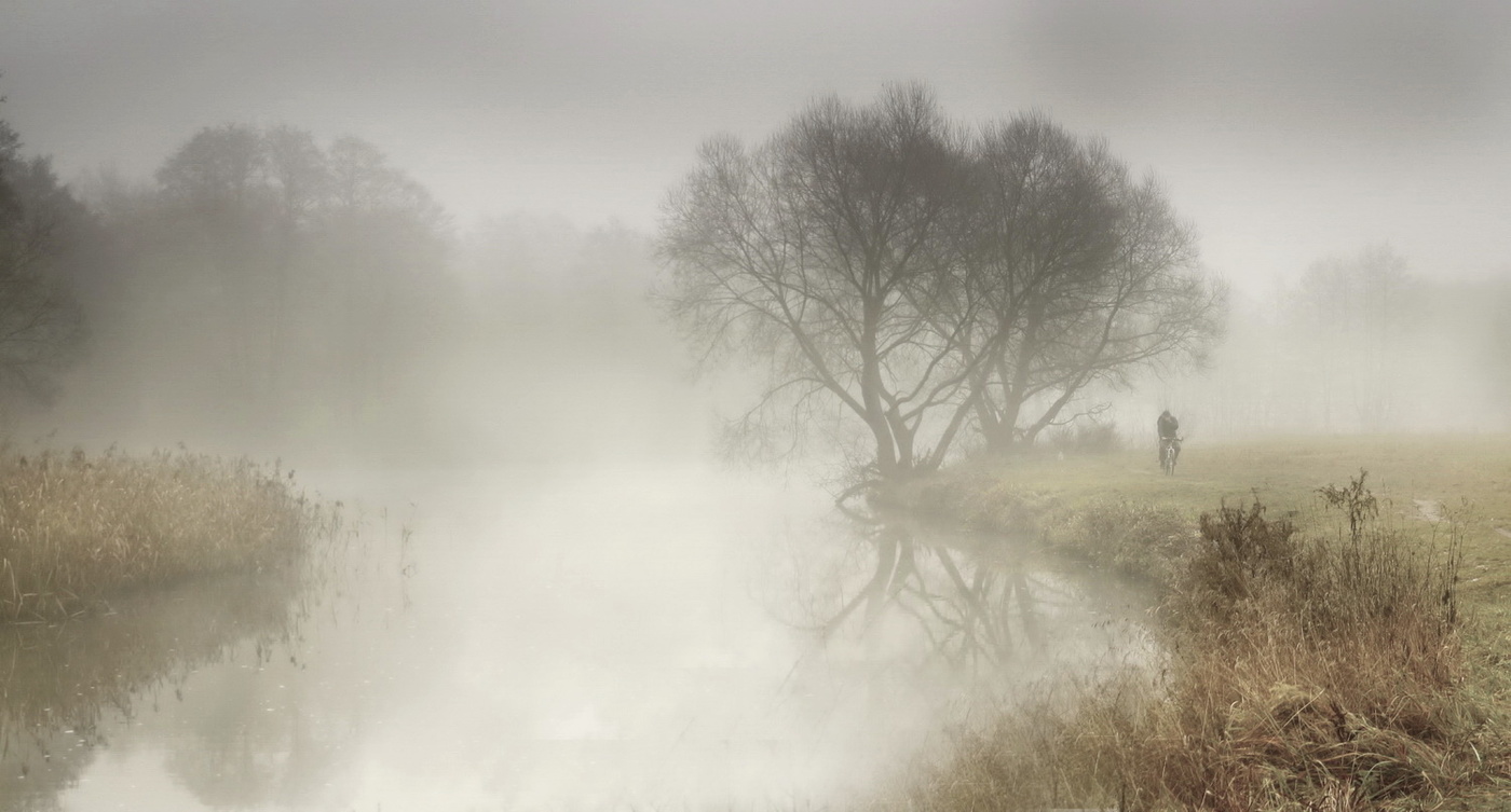 mist day