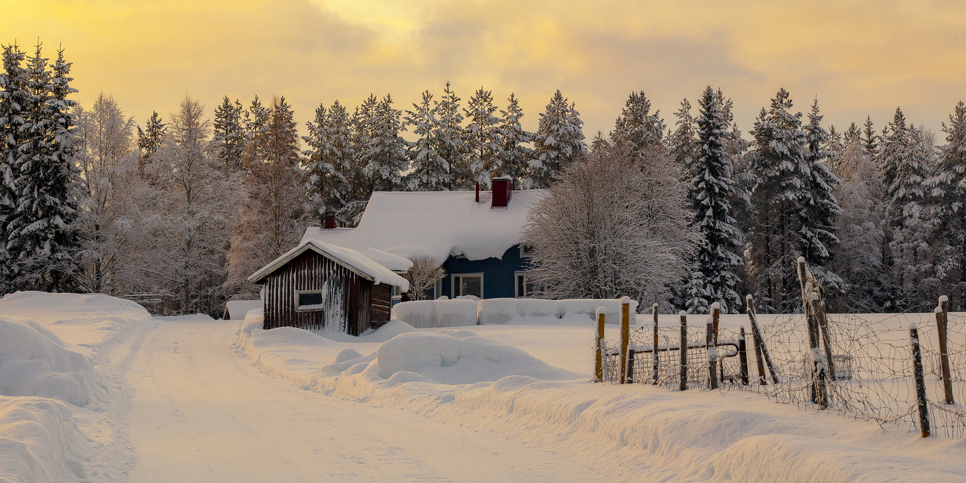 Winter Sunset
