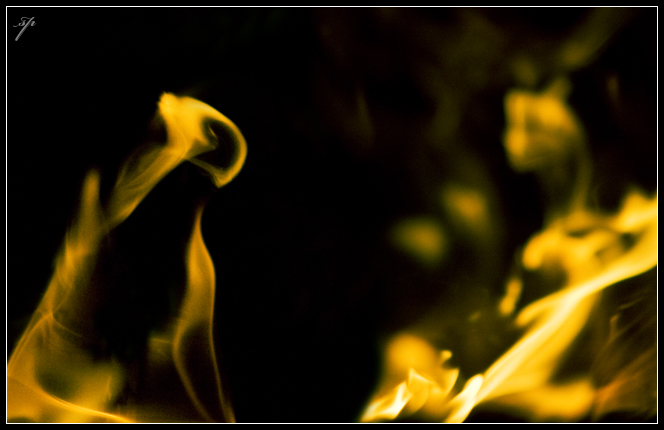 * Portrait of the fiery cat and her mistress *