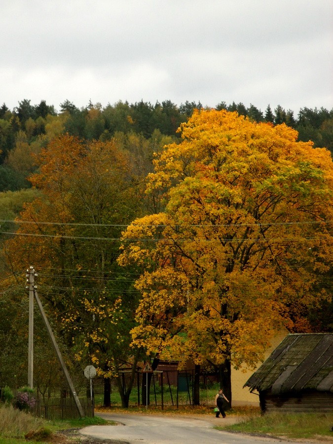 Belarussian Switzerland