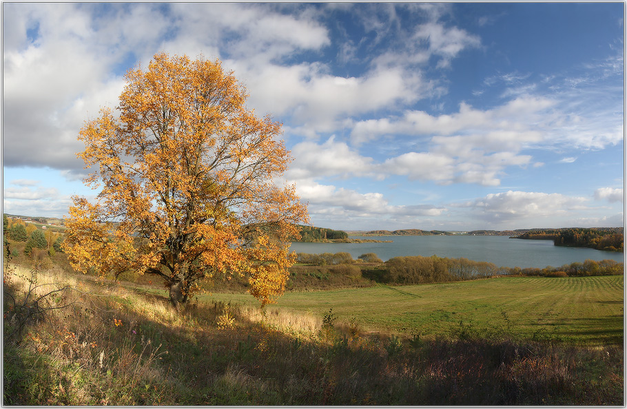 Autumn in Dubrovo