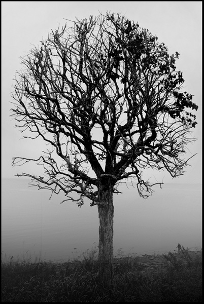 Autumn mood