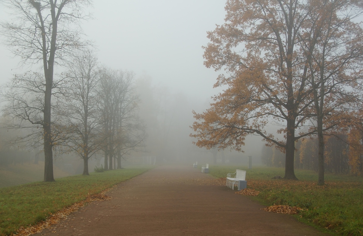 Autumn morning ...