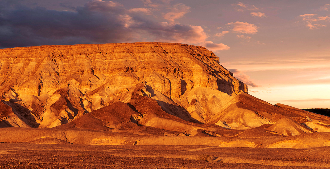 Paint Desert