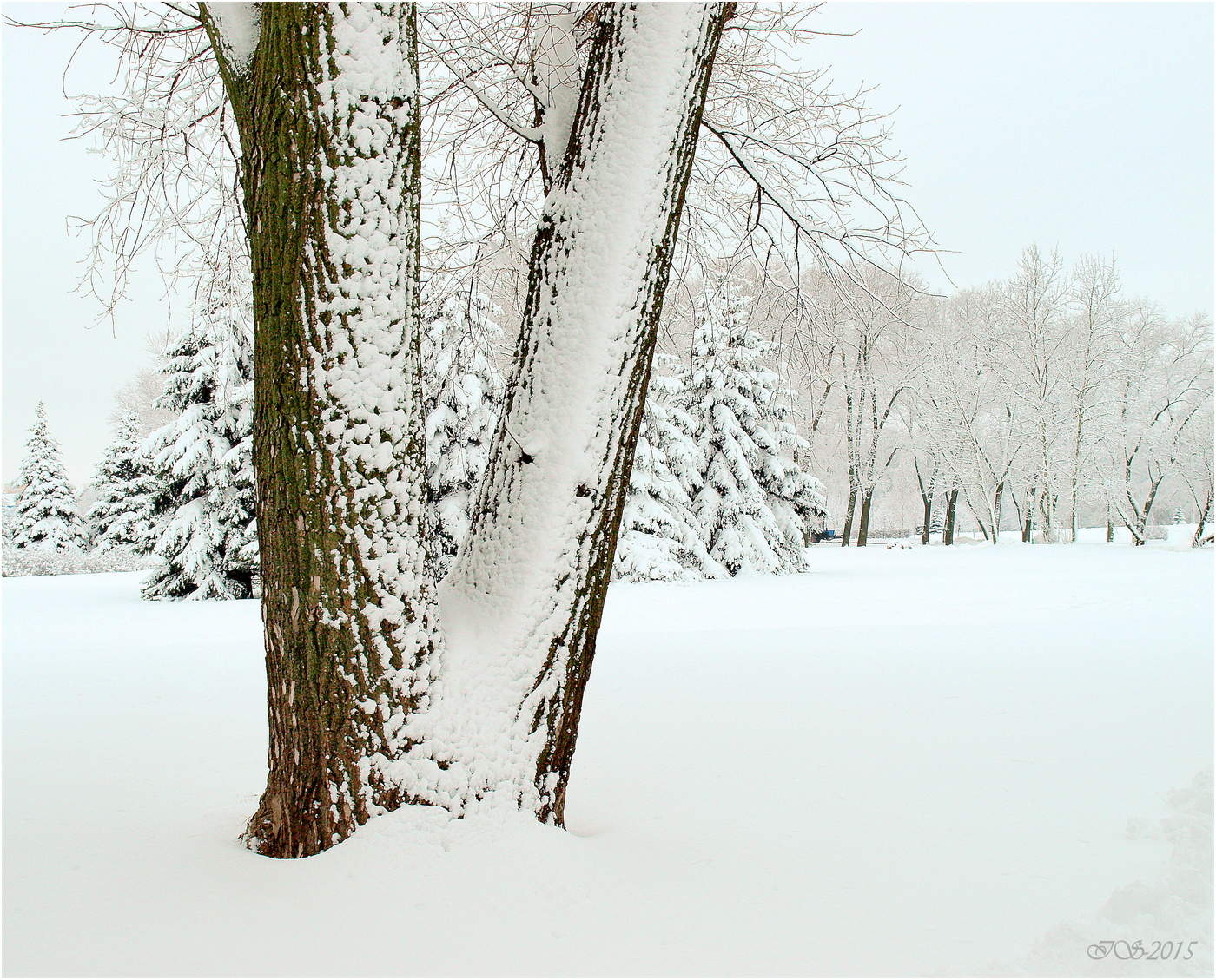 Winter sketches