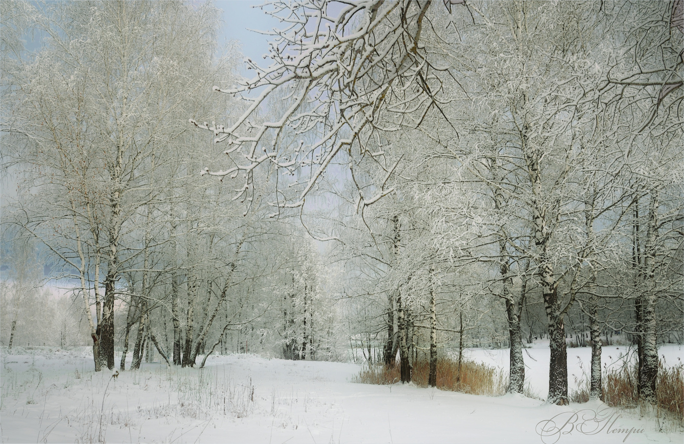Winter sketches