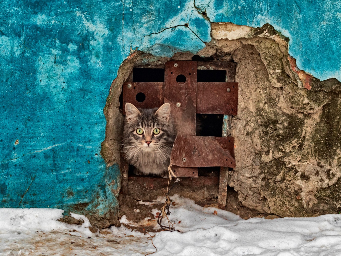 Wall