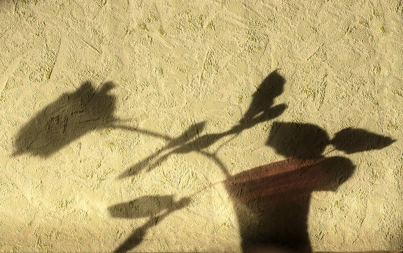 Recollection