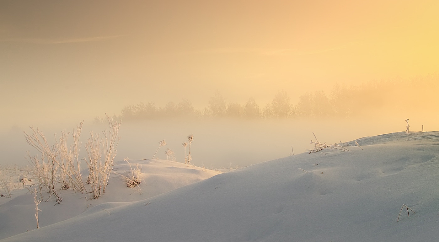 winter grass