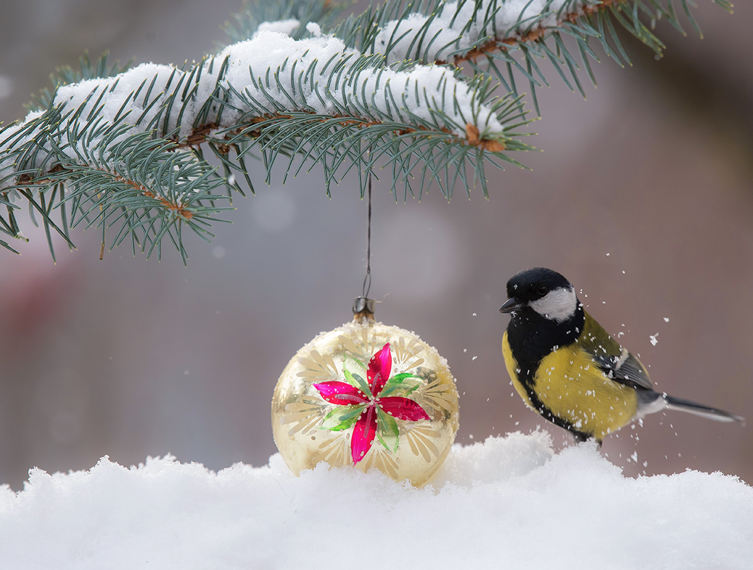 Happy Holidays!