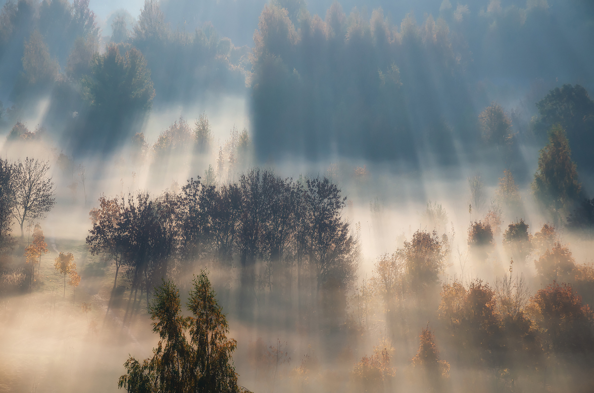 autumn morning