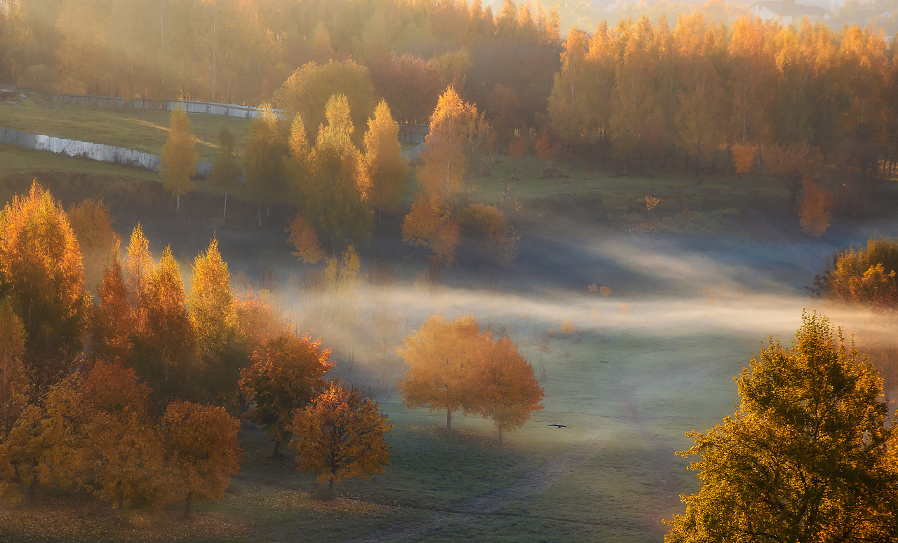 Autumn Sunrise