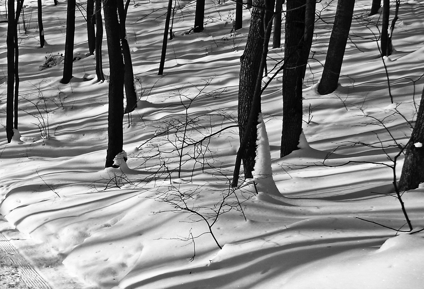 Black and white