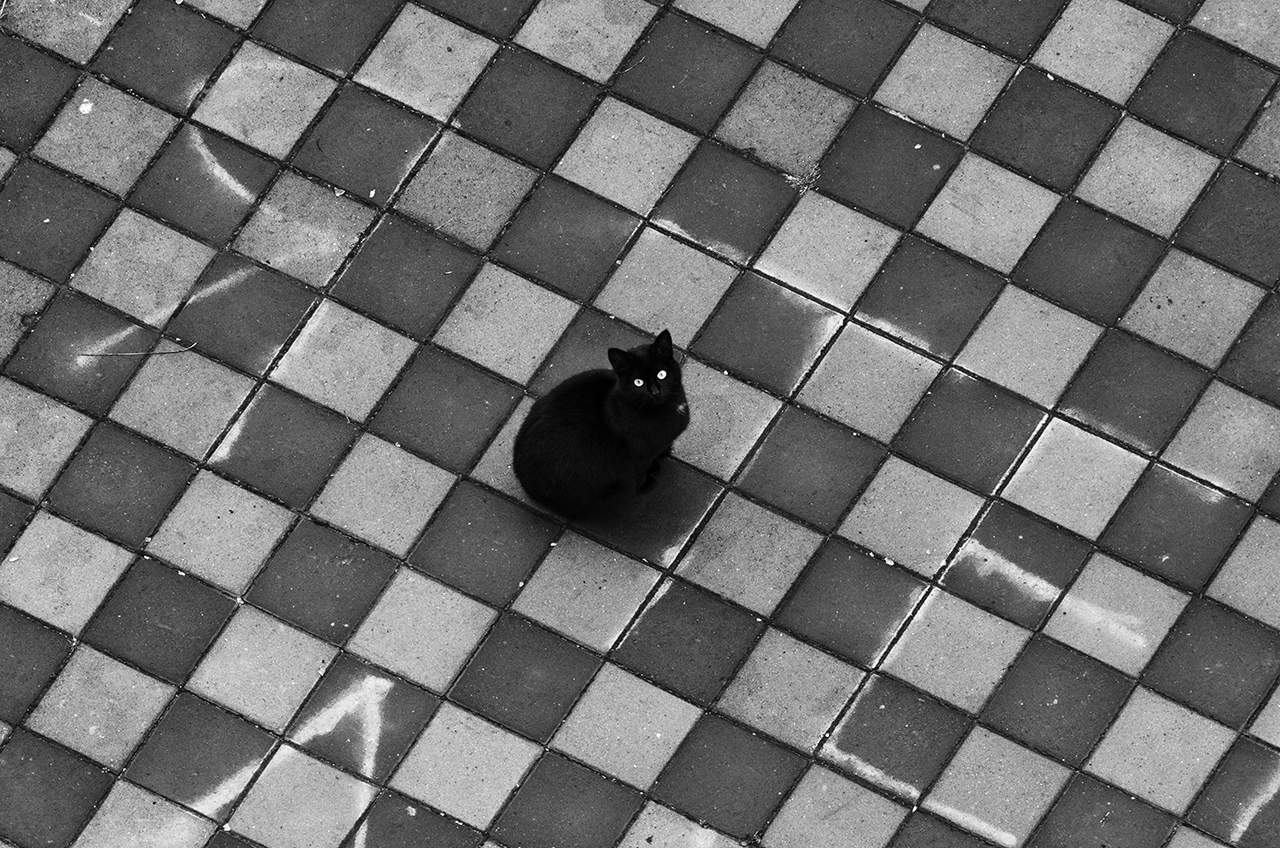 Black and white