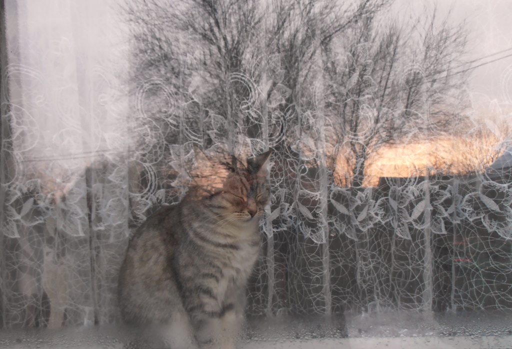 behind the glass