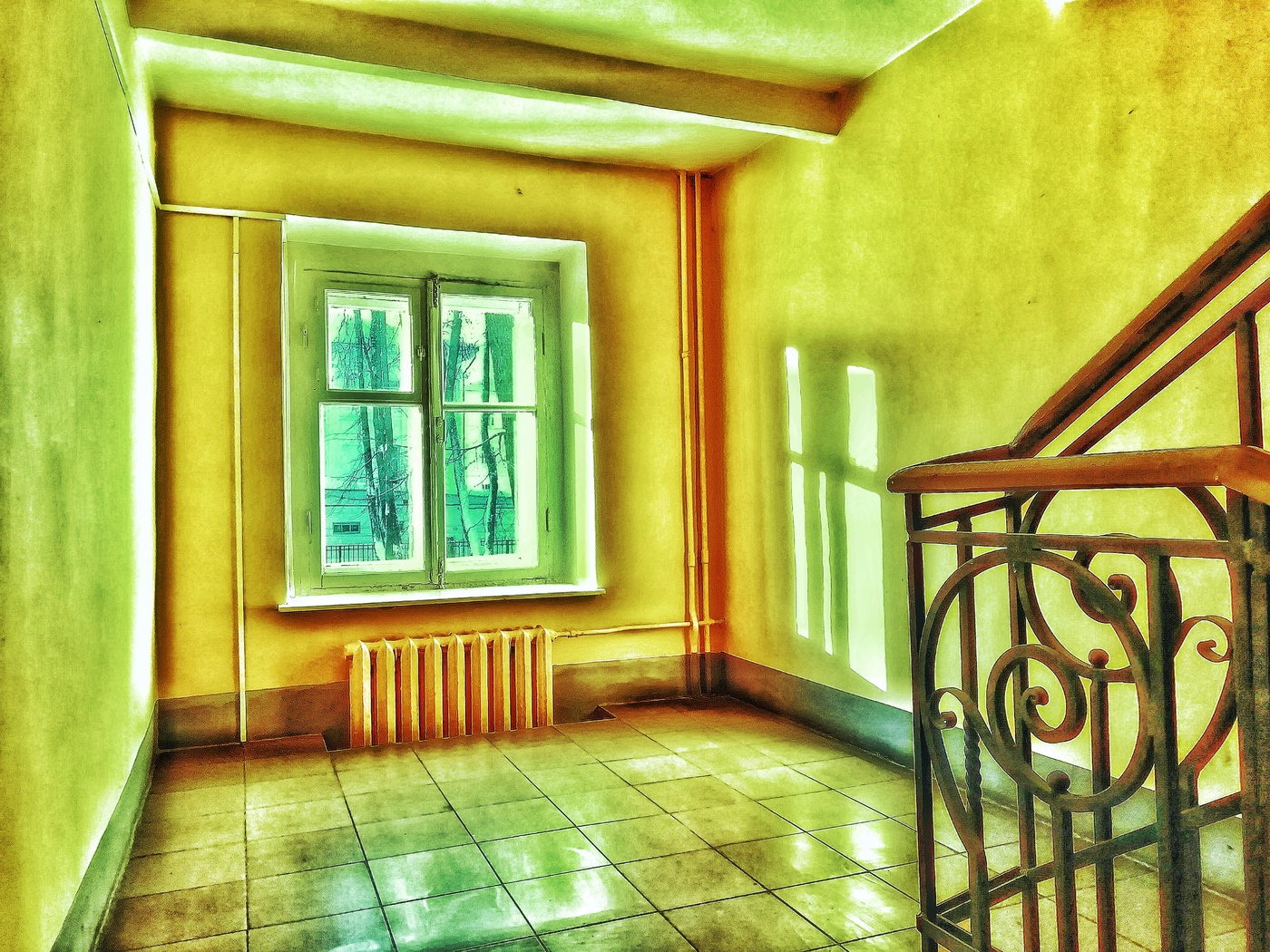 Window