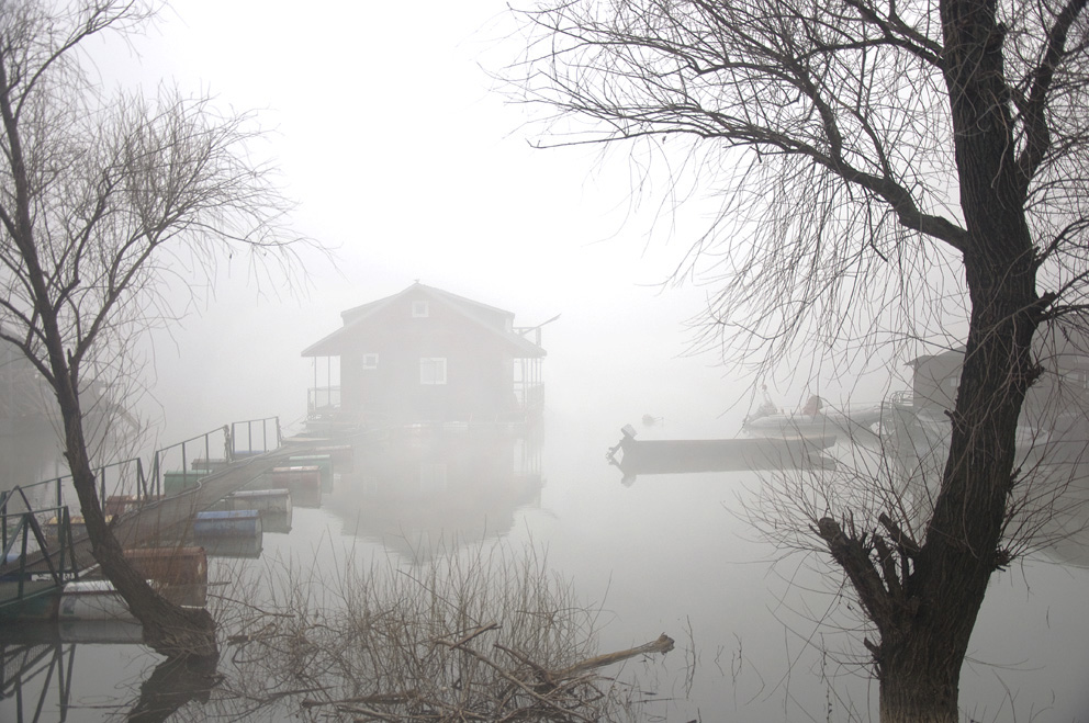 fog on the river