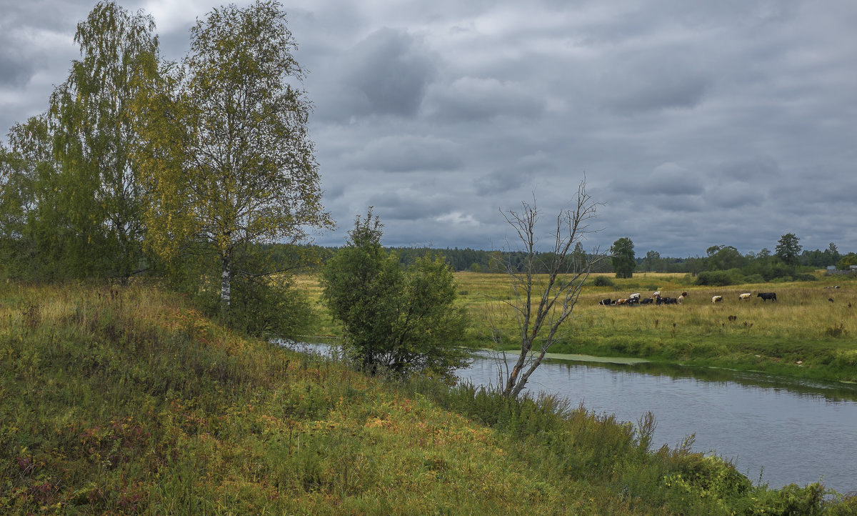 Autumn pastorale.