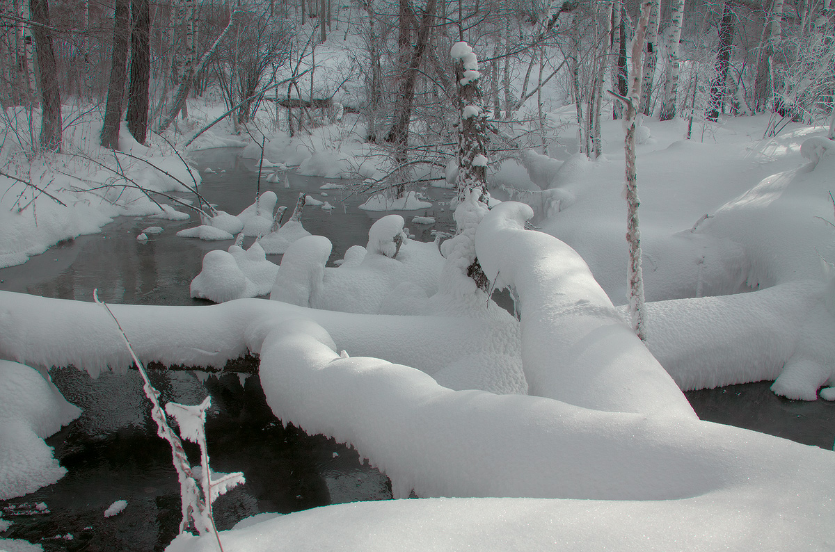 the brook
