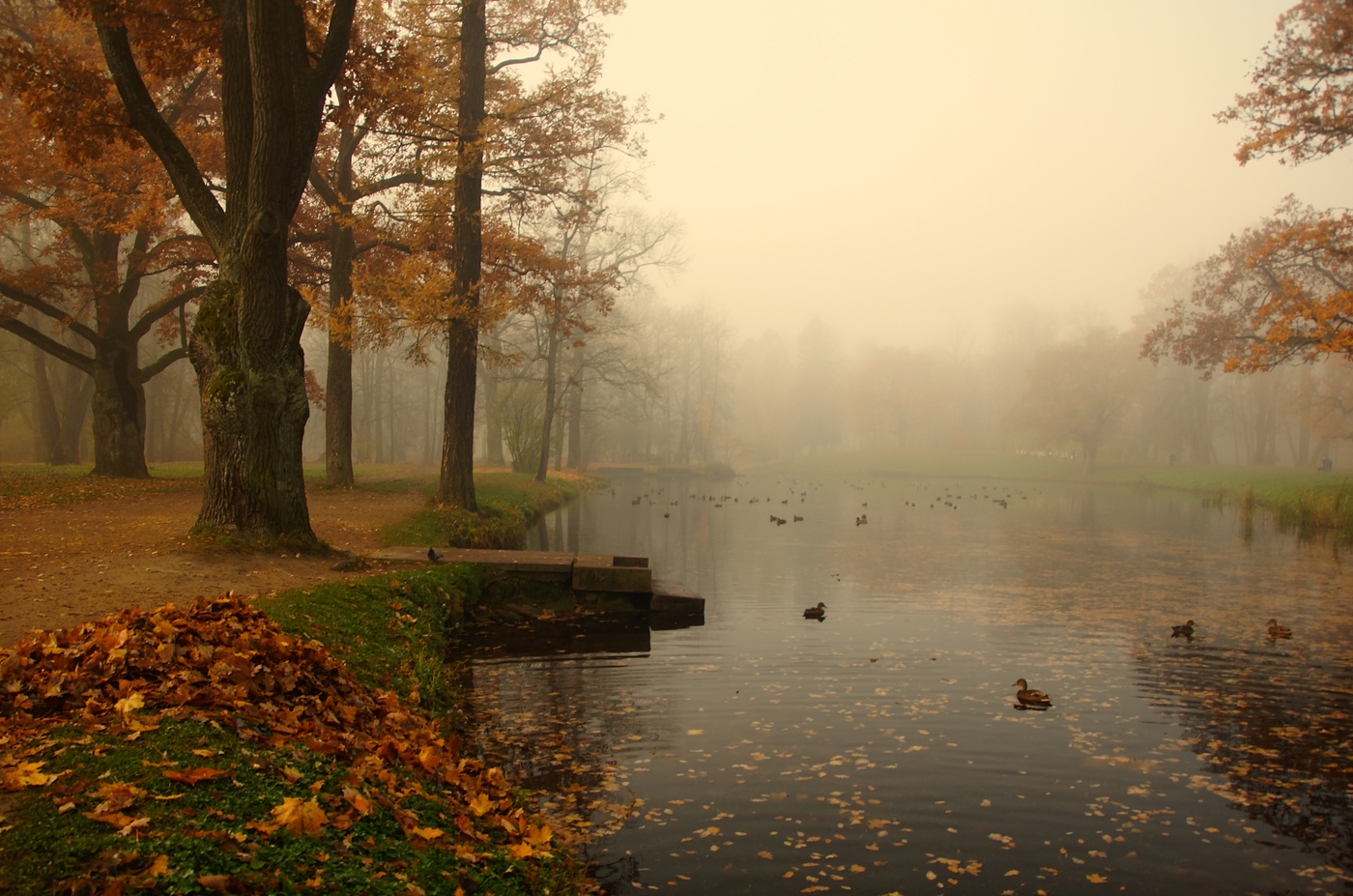 Autumn