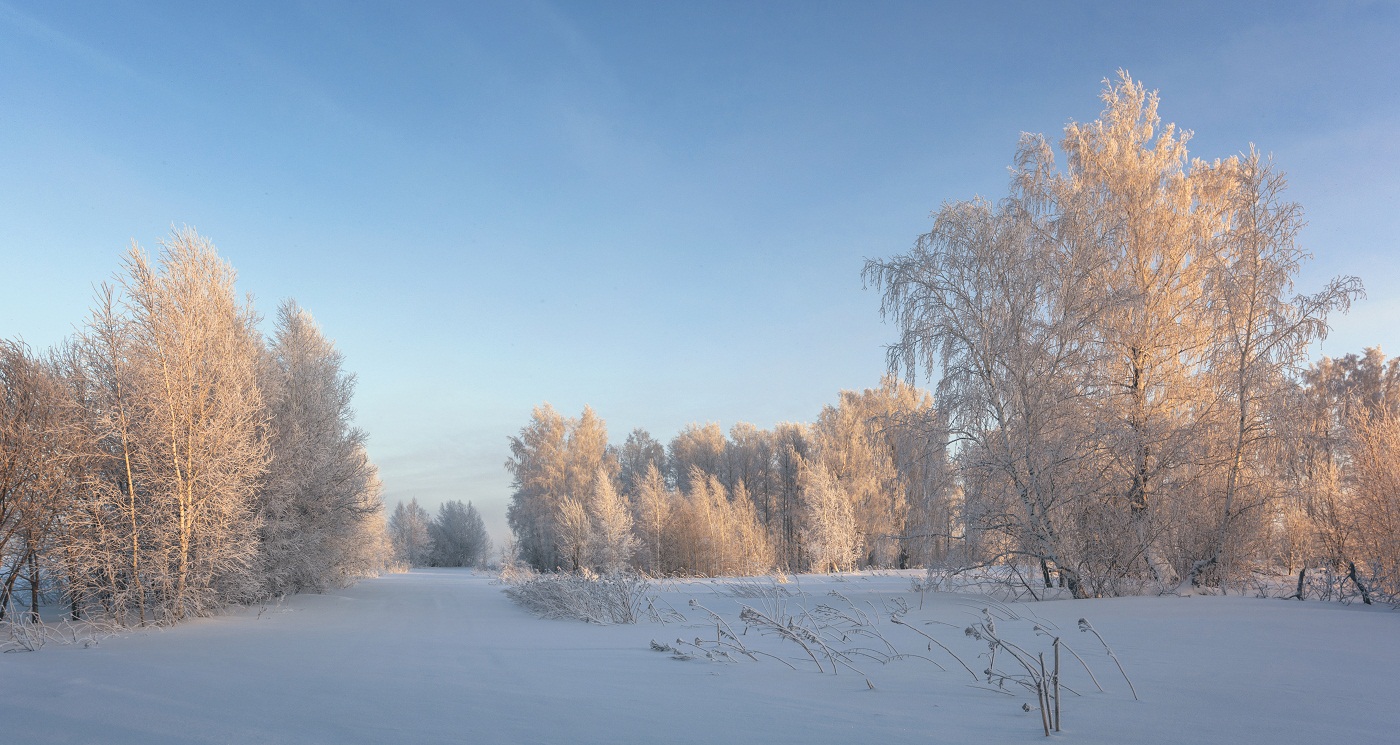 Winter evening.