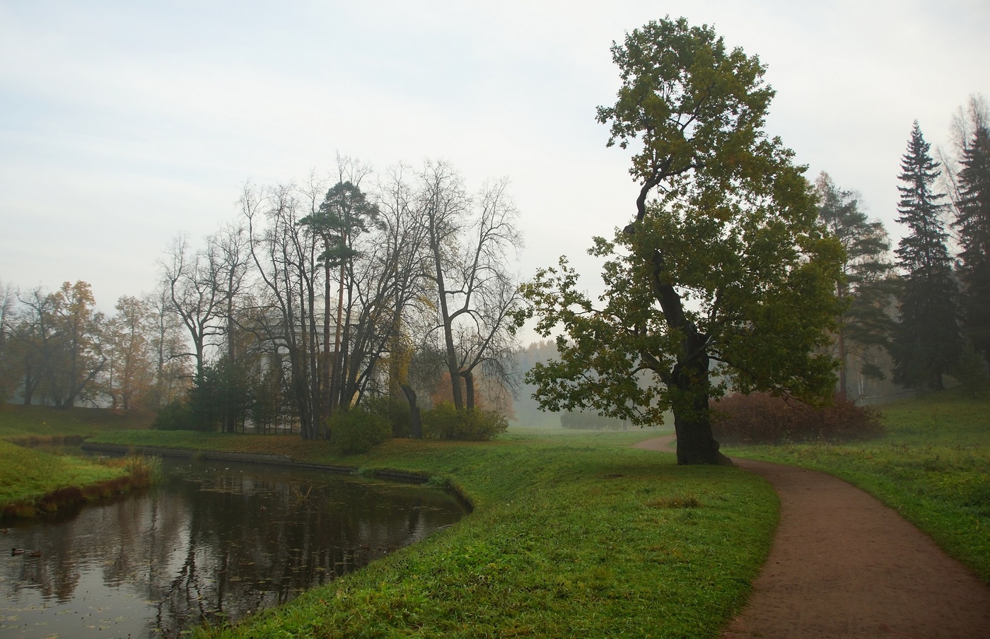 Autumn morning ...