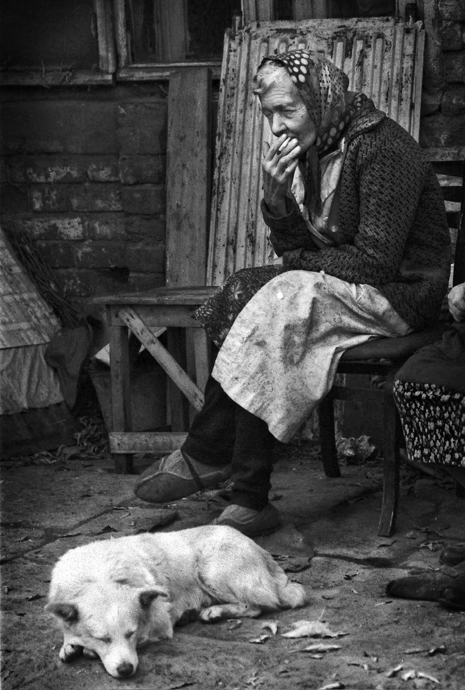 Lady with a dog