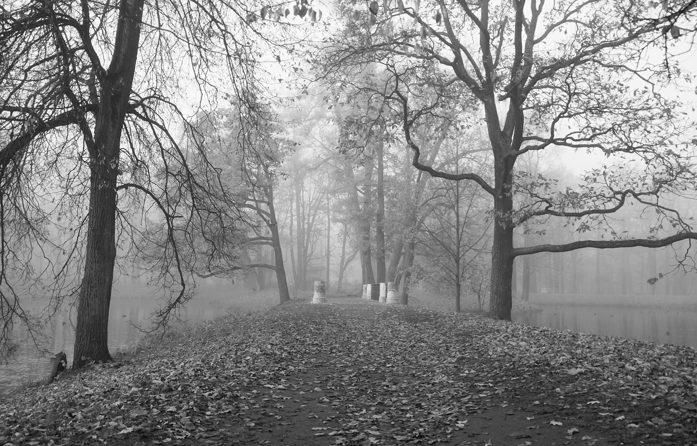Autumn morning ...