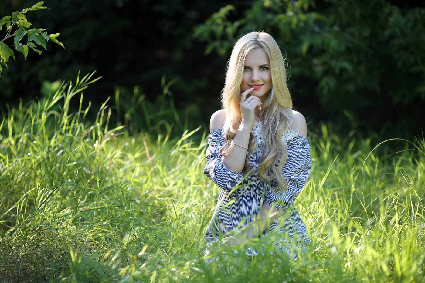 on the sunny meadow