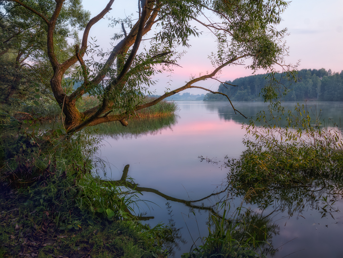 Morning at the lake
