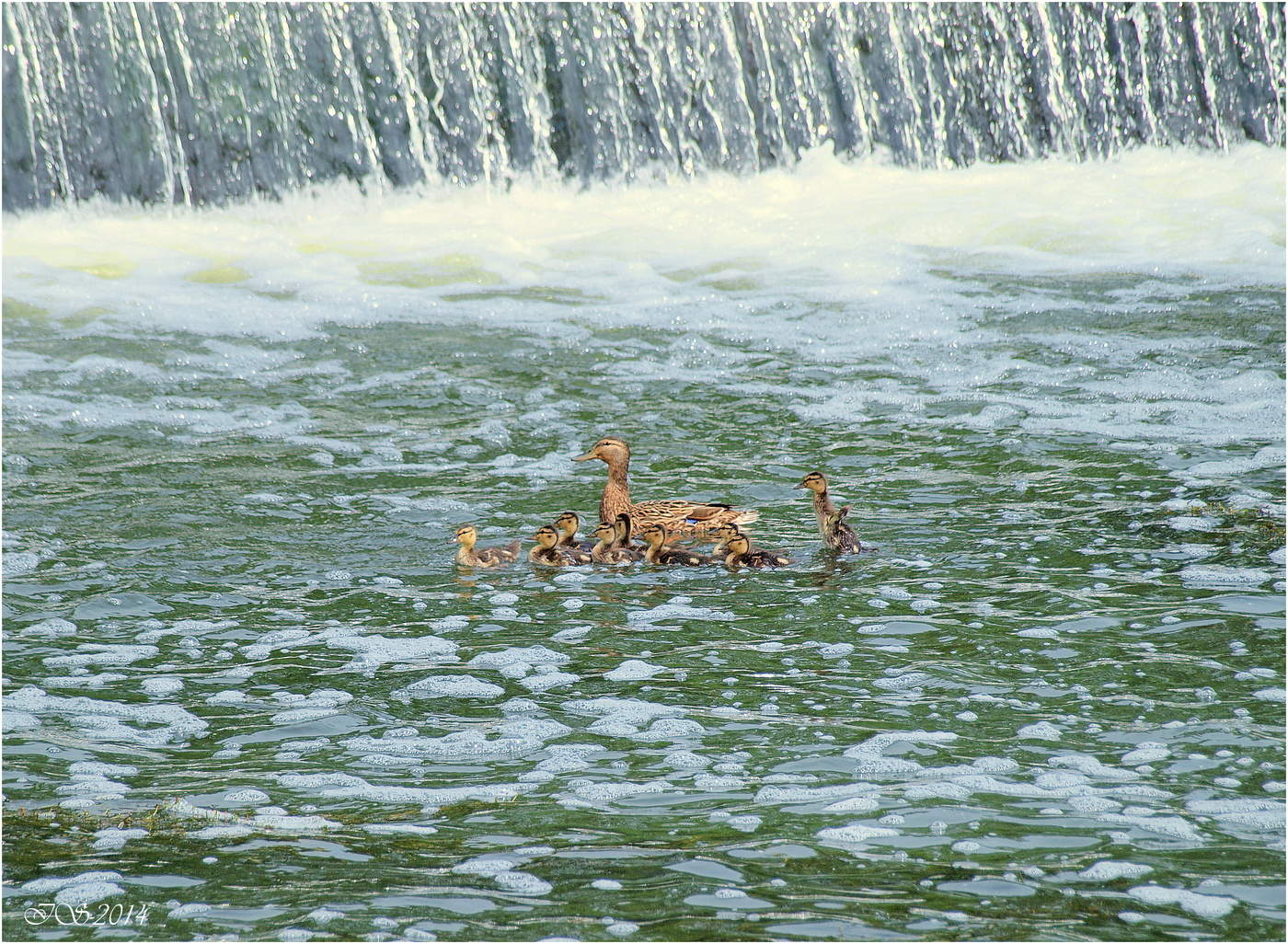 At the waterfall