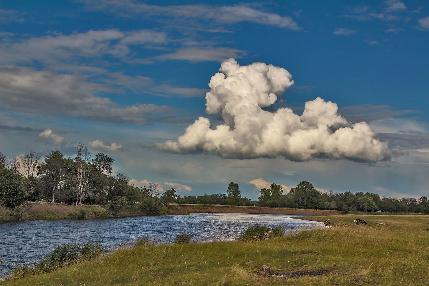 ***The clouds