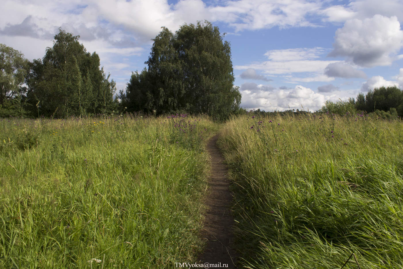 Field road