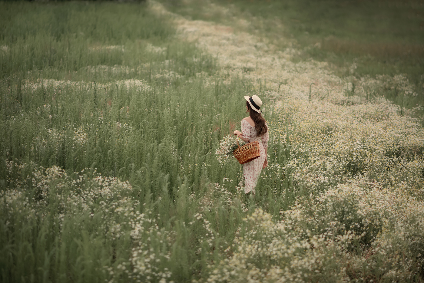 In the daisy field