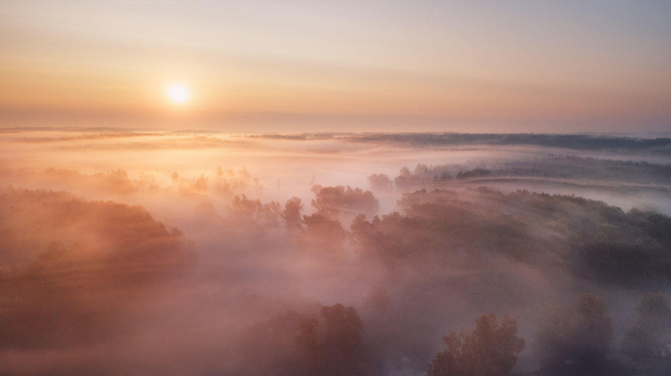 Summer Morning