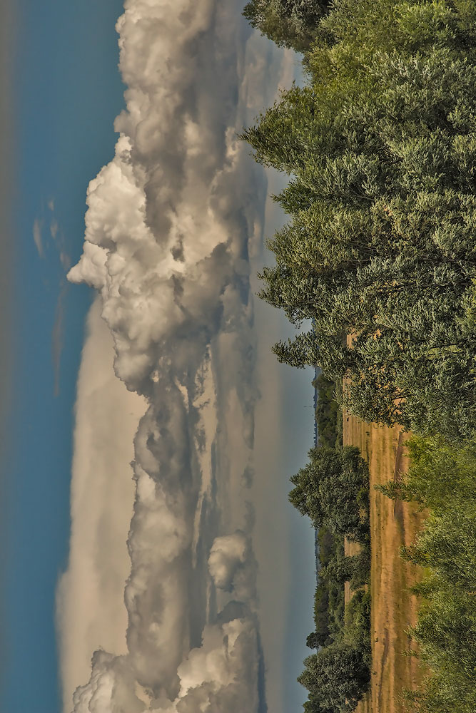 ***The clouds