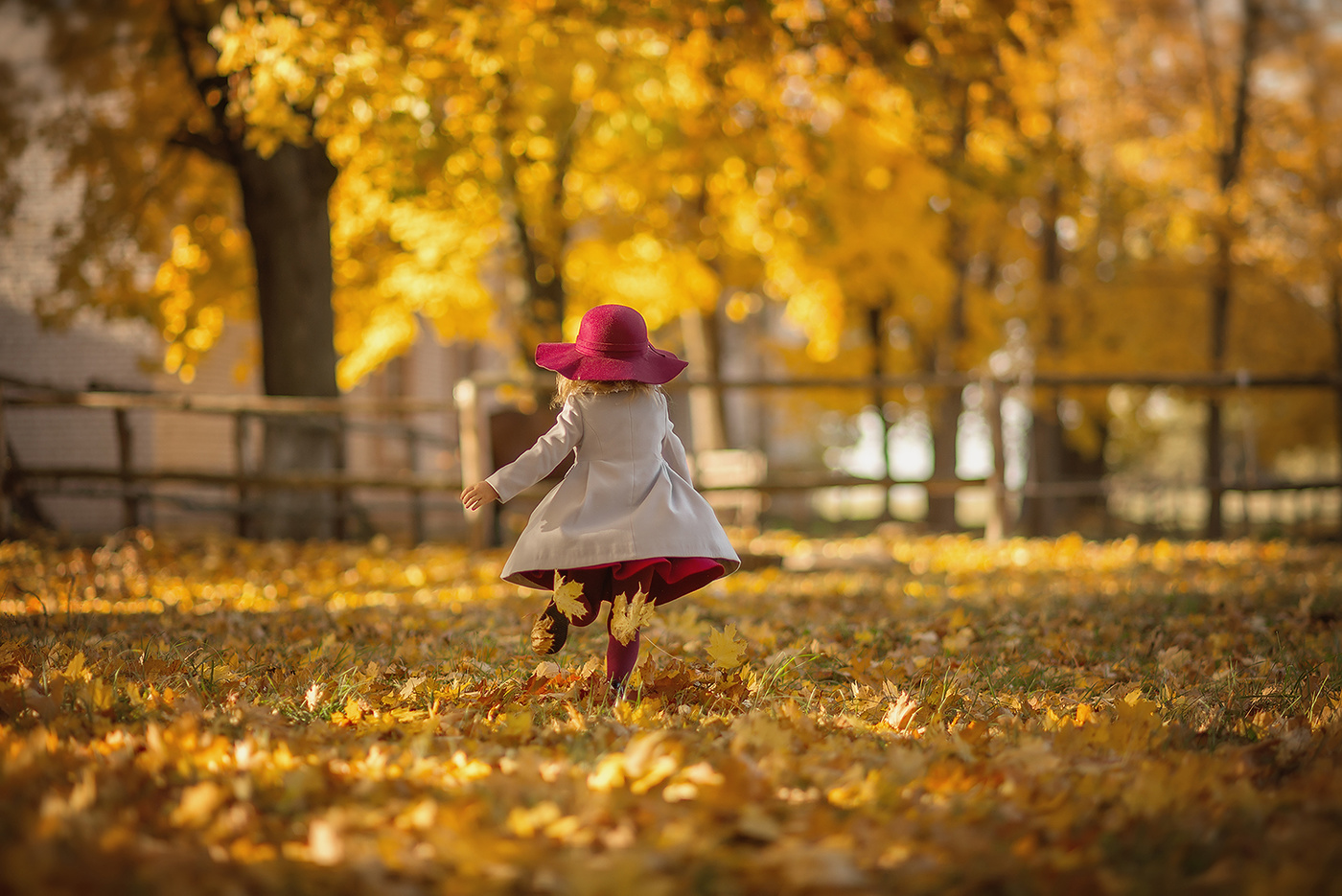 bright autumn
