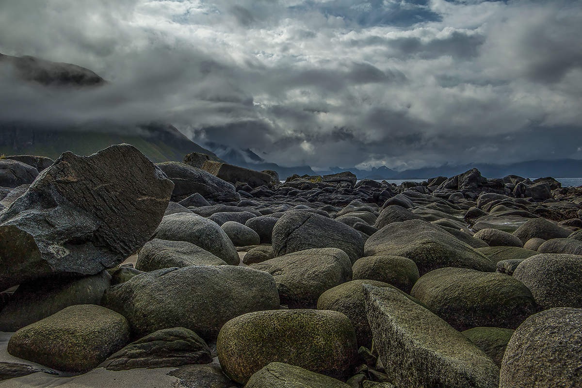 Rock Garden