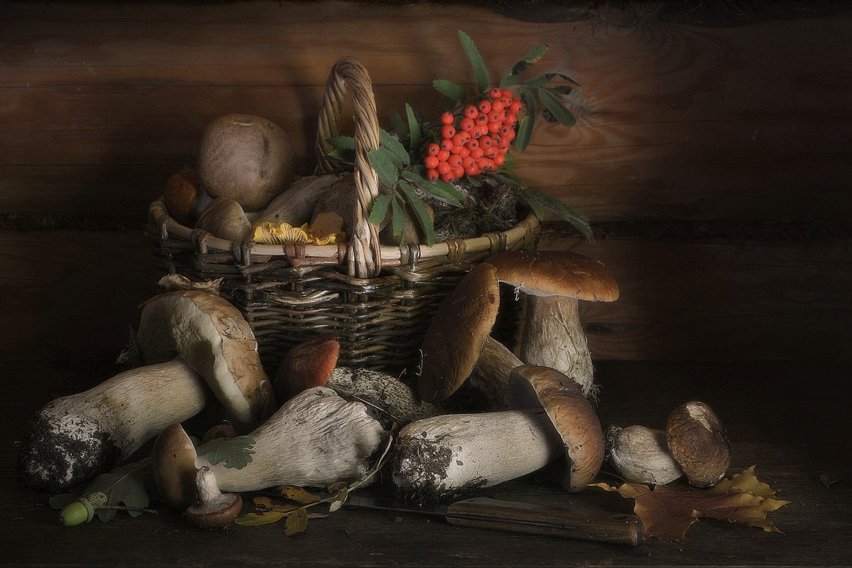 Mushroom still life
