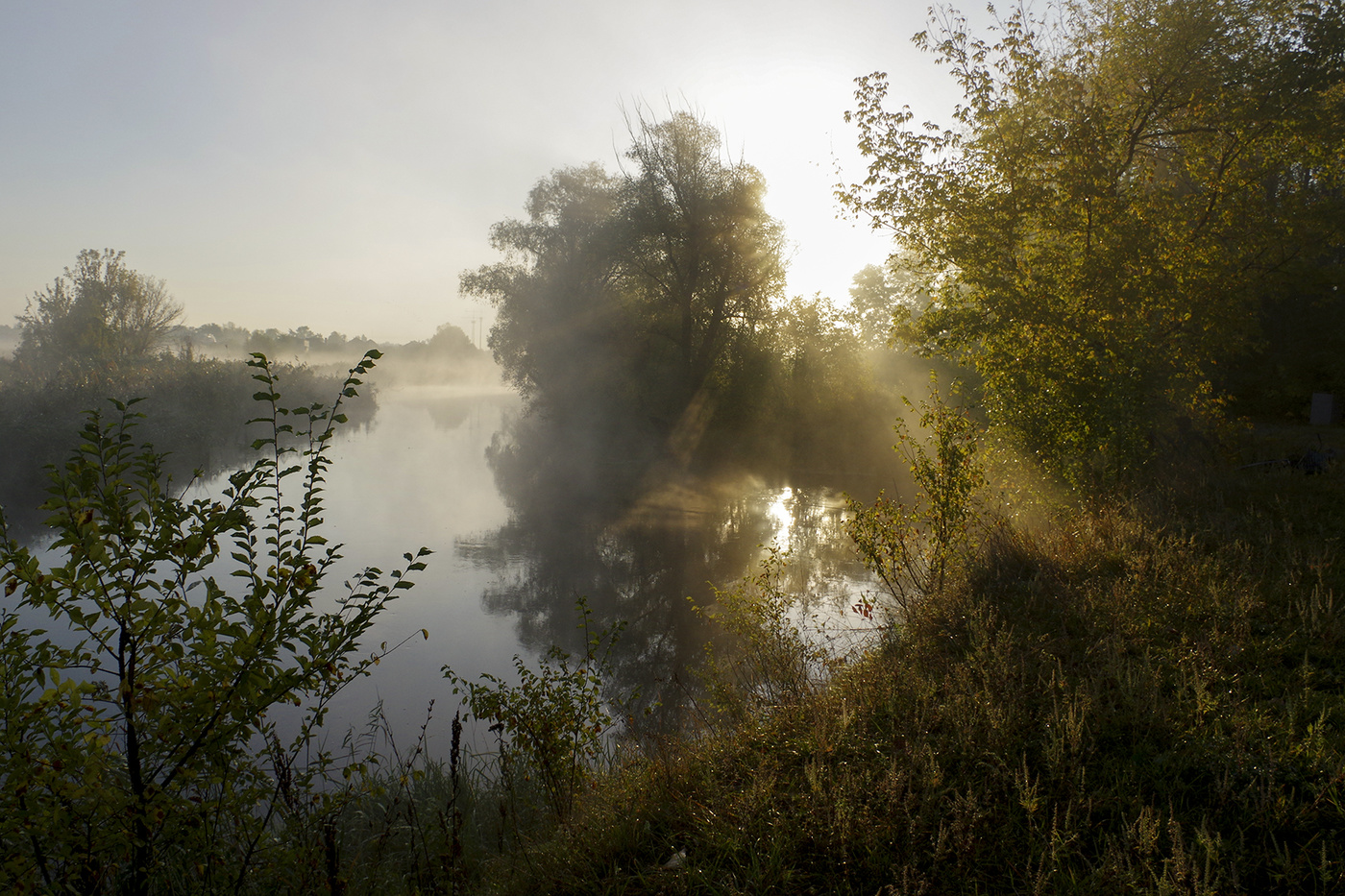 Foggy morning