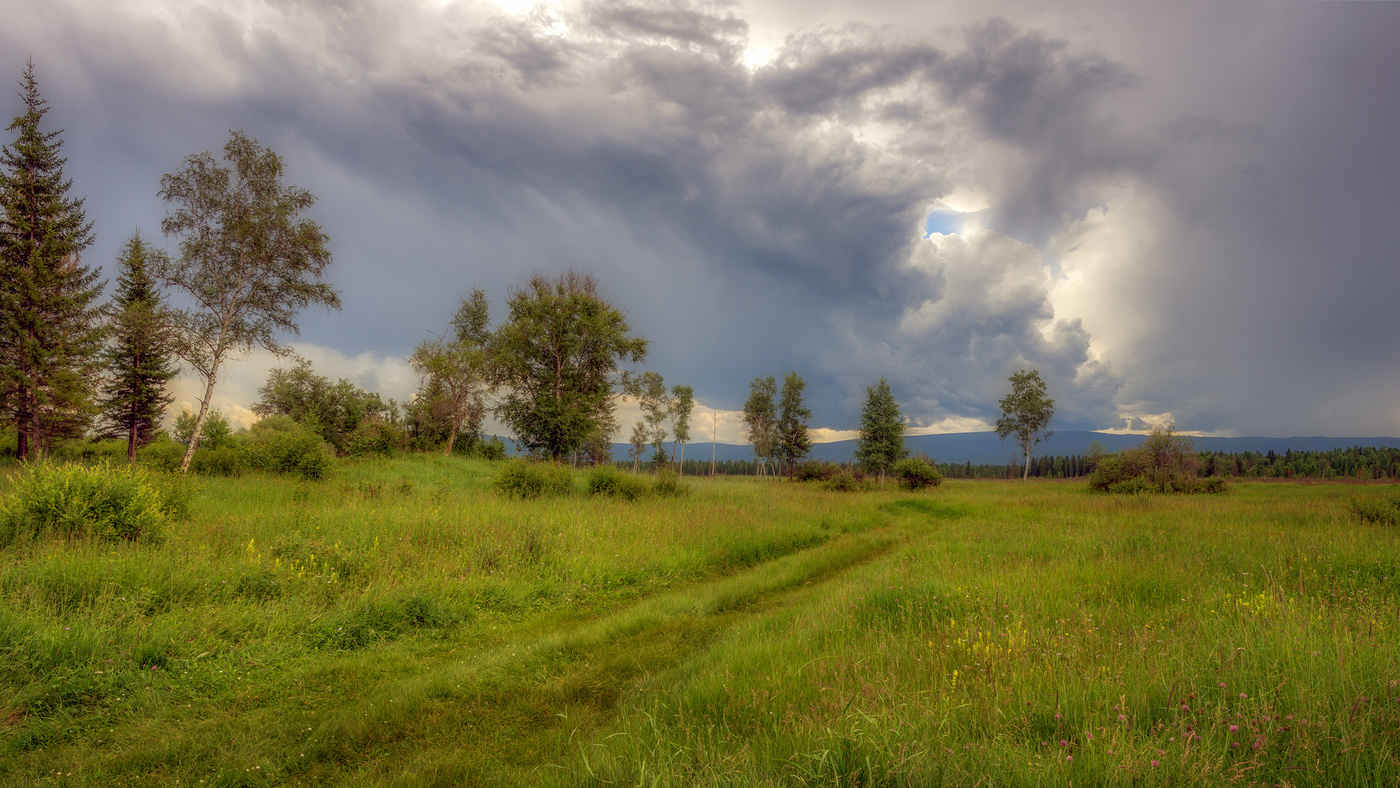 July afternoon