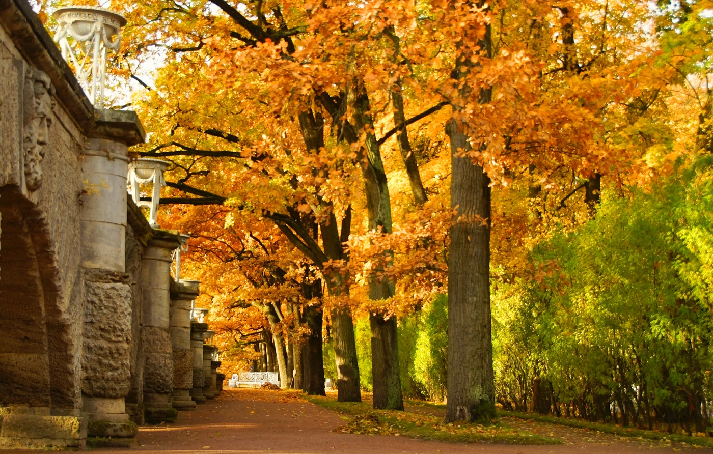 Autumn morning ...