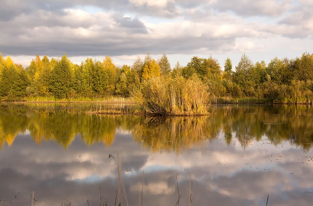 Autumn colors of nature.