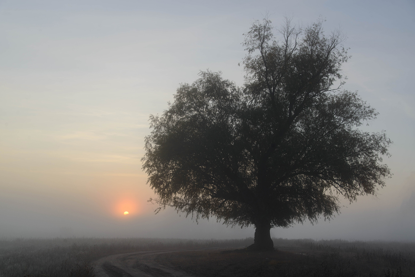 Autumn Sunrise