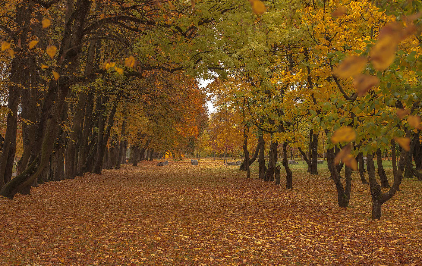 Парк В Октябре Фото