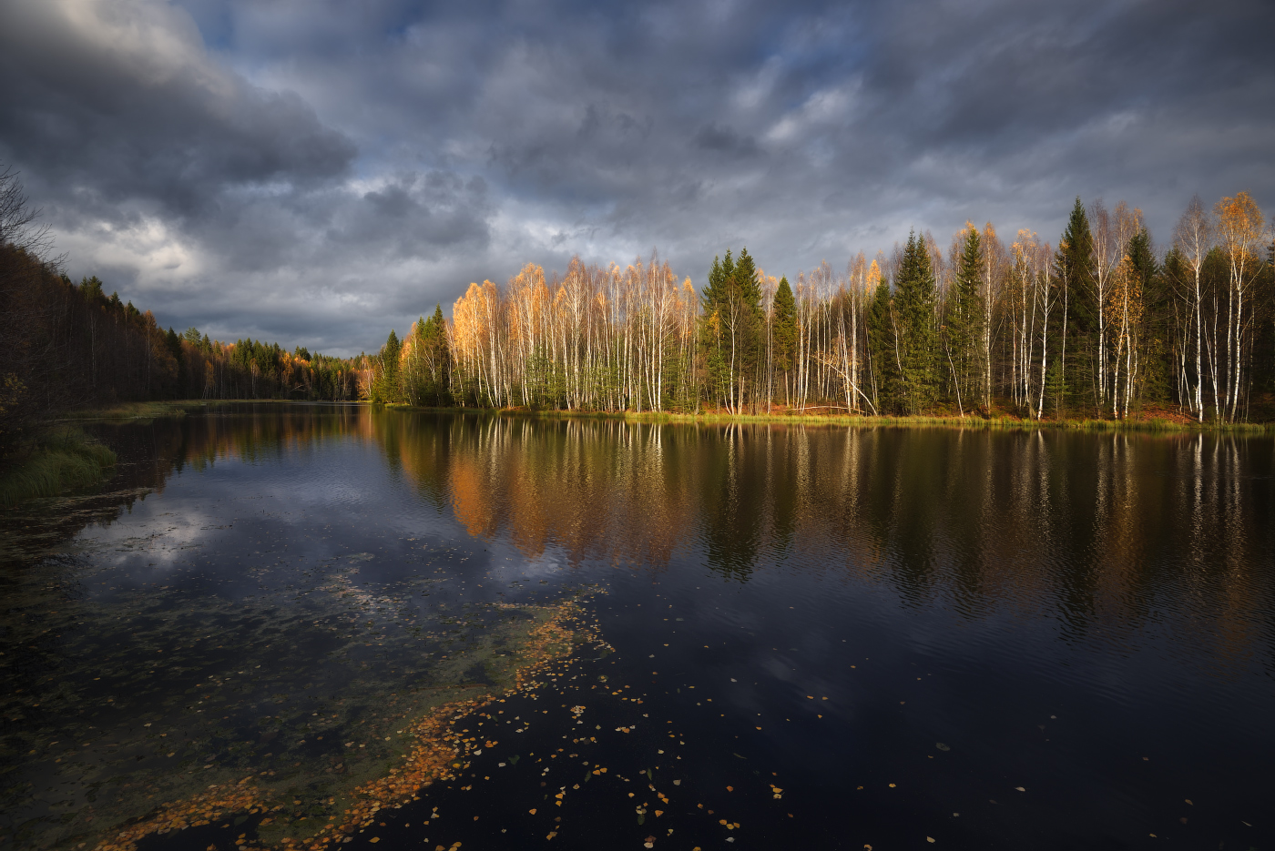 Autumn contrasts