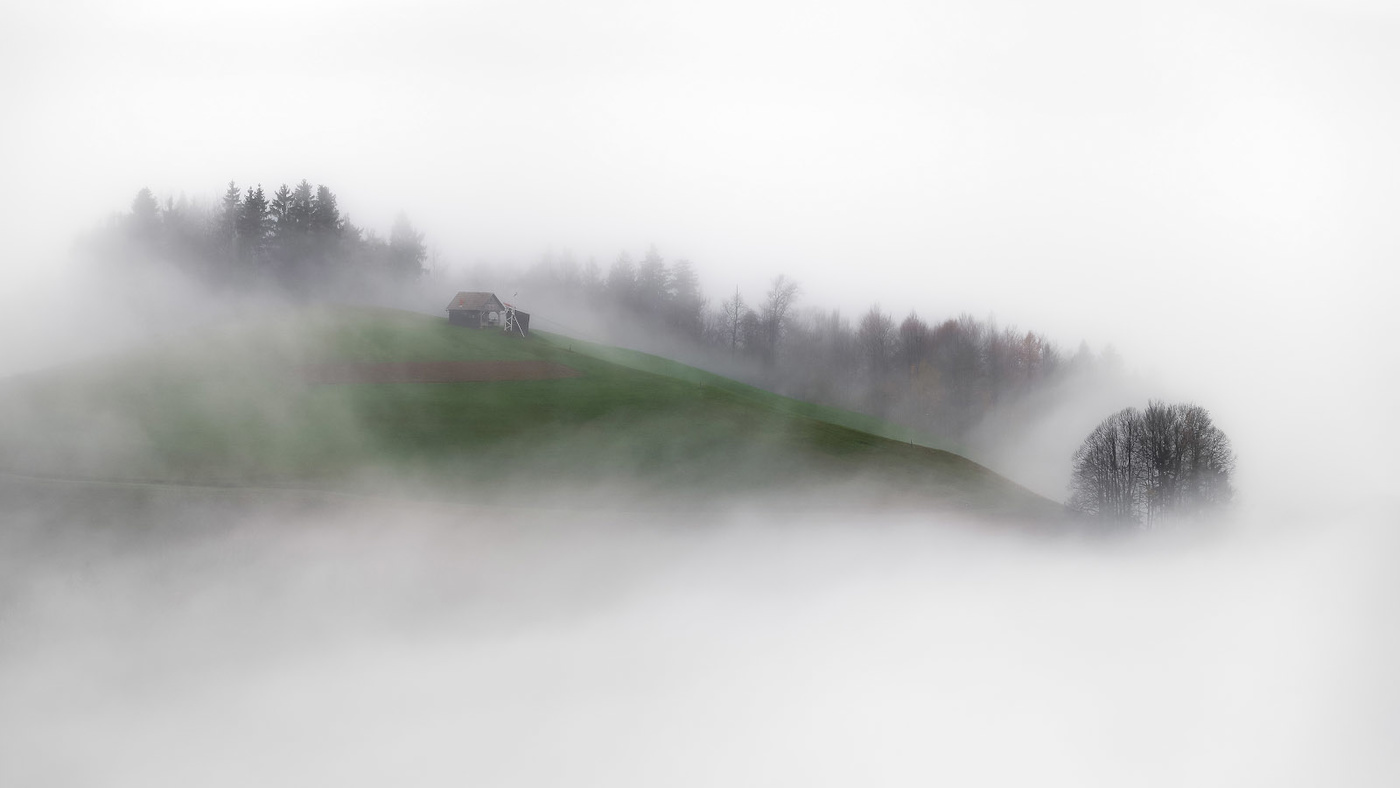 Island in the fog