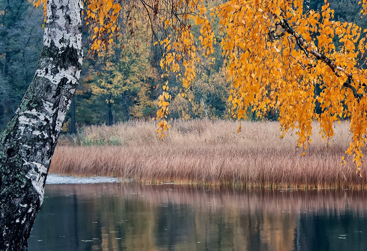 Autumn