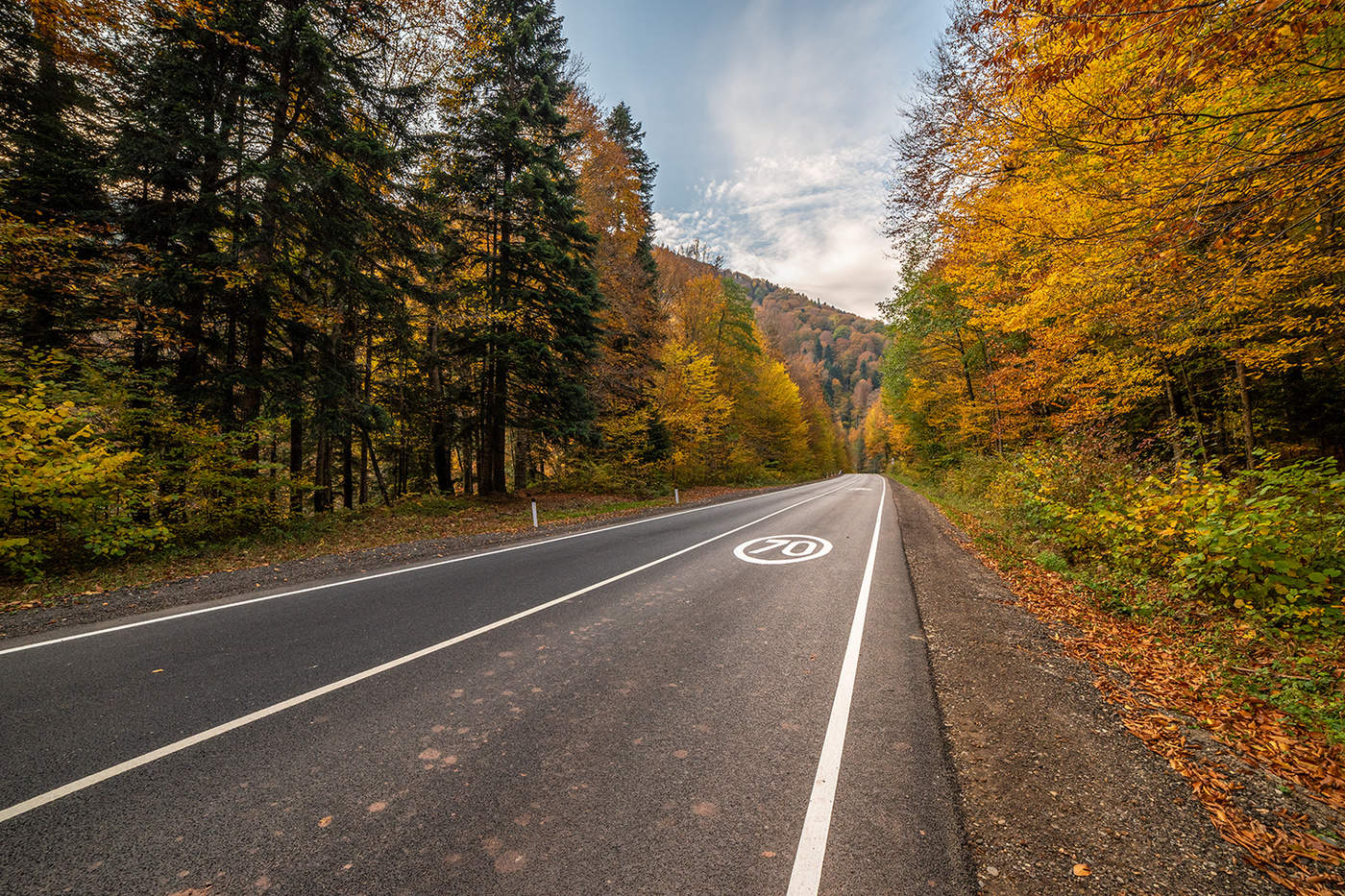 Autumn road